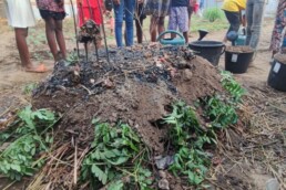 S'engager pour la justice climatique avec le Défap