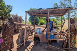 Soutien à la formation agroécologique | Togo