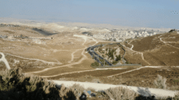 programme-EAPPI-Jérusalem-est-colonisation-israelienne