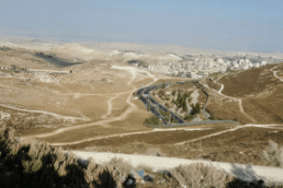 programme-EAPPI-Jérusalem-est-colonisation-israelienne