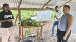 Service Chrétien d’Appui à l’Animation Rurale et le service protestant de mission defap au togo