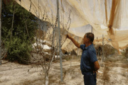 Programme eappi-defap-Word Council of church - Palestine-israel