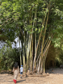 Orphelinat-Madagascar-service-civique-internationale