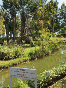 service civique Défap service protestant orphelinat