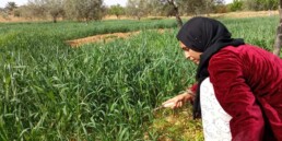 ATAE promotion de l'agro&eacute;cologie