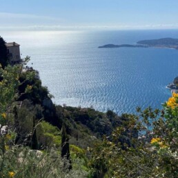 asanat solidarit&eacute; internationale France
