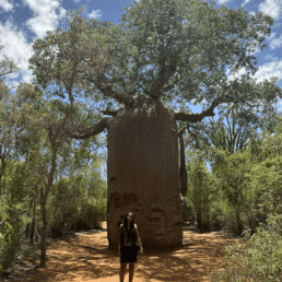 shekina orphelinat akanisoa