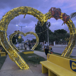 sh&eacute;kina service civique d&eacute;fap madagascar